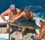 Sailfish